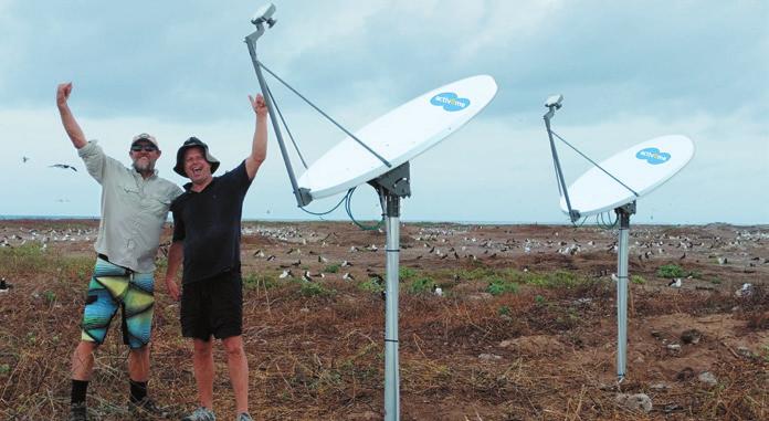 Satellite Internet Helpingprotect Endangered Turtles